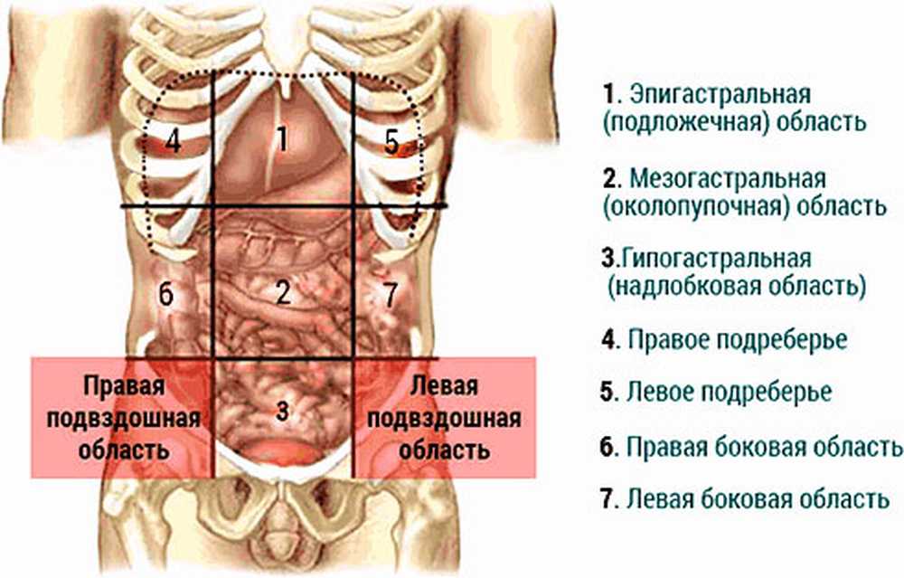 Боли в левом боку под животом. Подвздошная область. Области живота. Эпигастральная область. Правая подвздошная область.