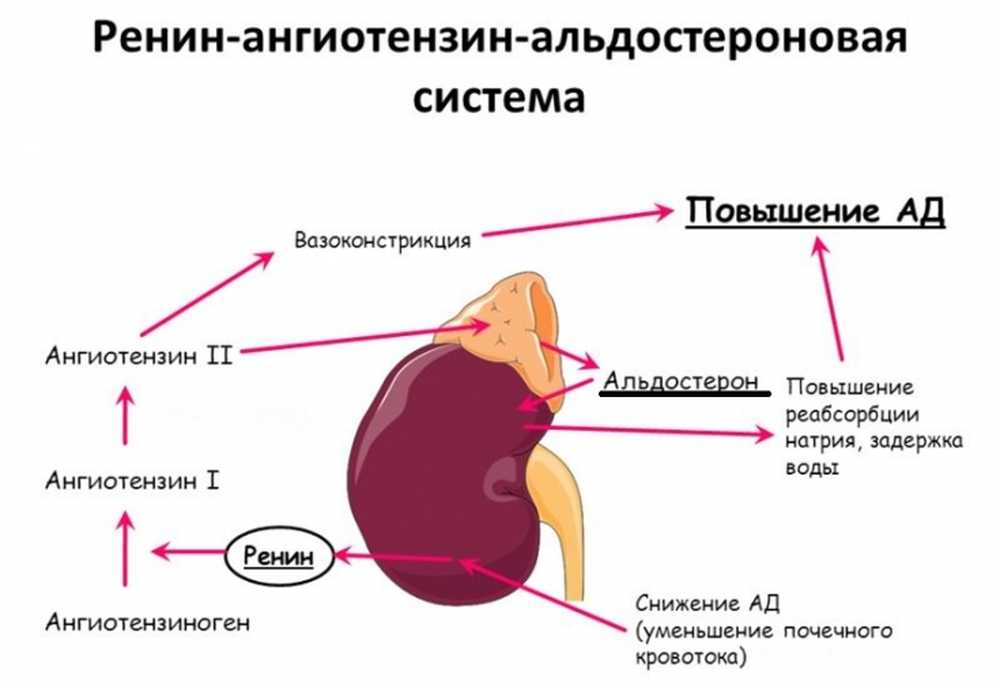 Схема действия раас