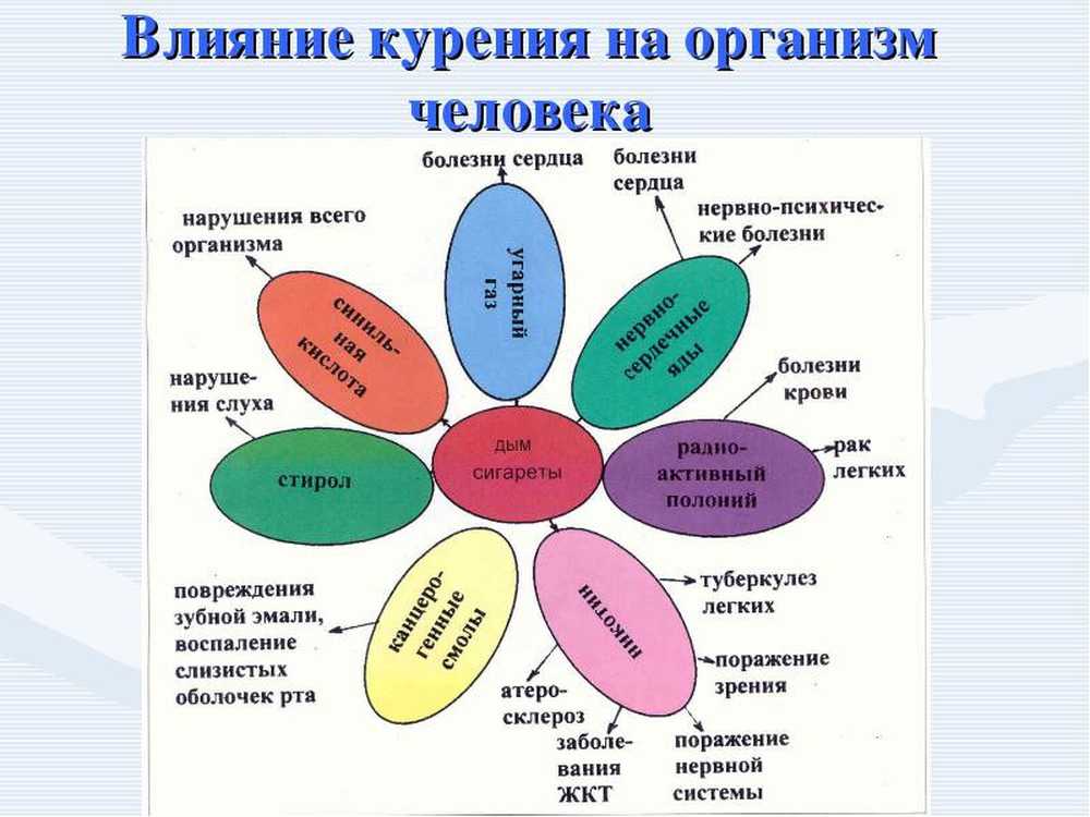влияние курения на органы. влияние табакокурения на организм. влияние табачного дыма на организм. воздействие курения на организм человека. воздействие табакокурения на организм человека.