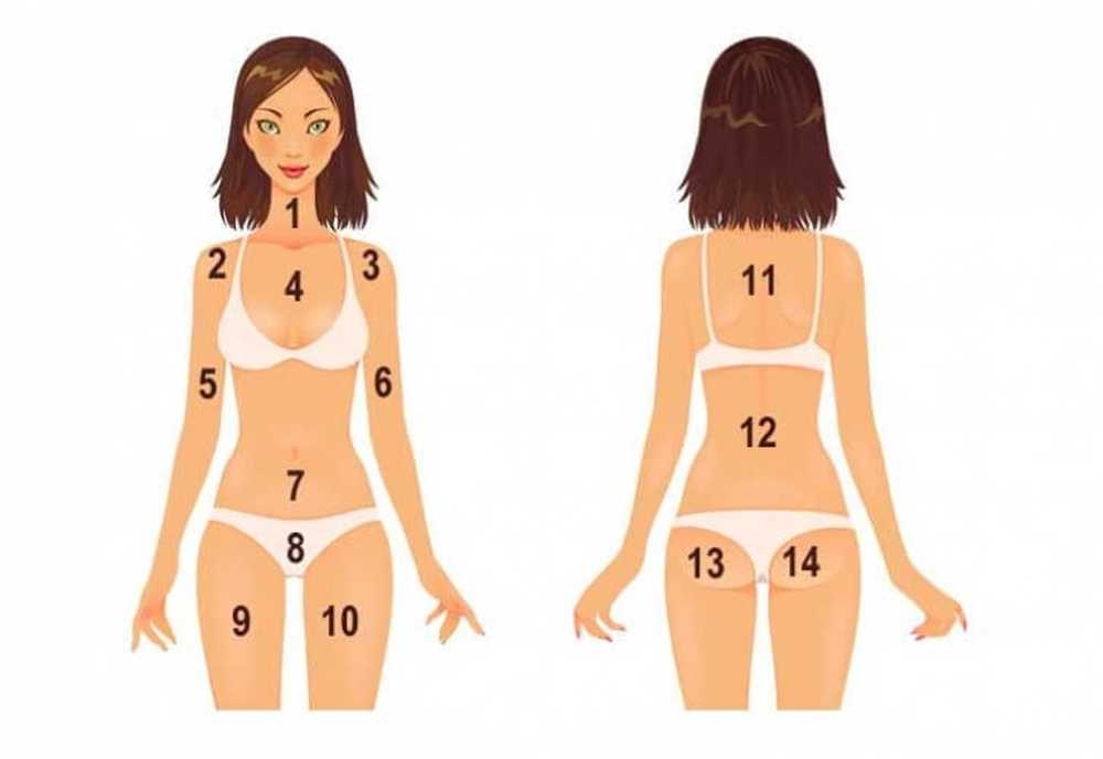 Body значение. Прыщи на теле причины по зонам. Карта прыщей на теле. Тело женщины спереди. Части тела девушки.