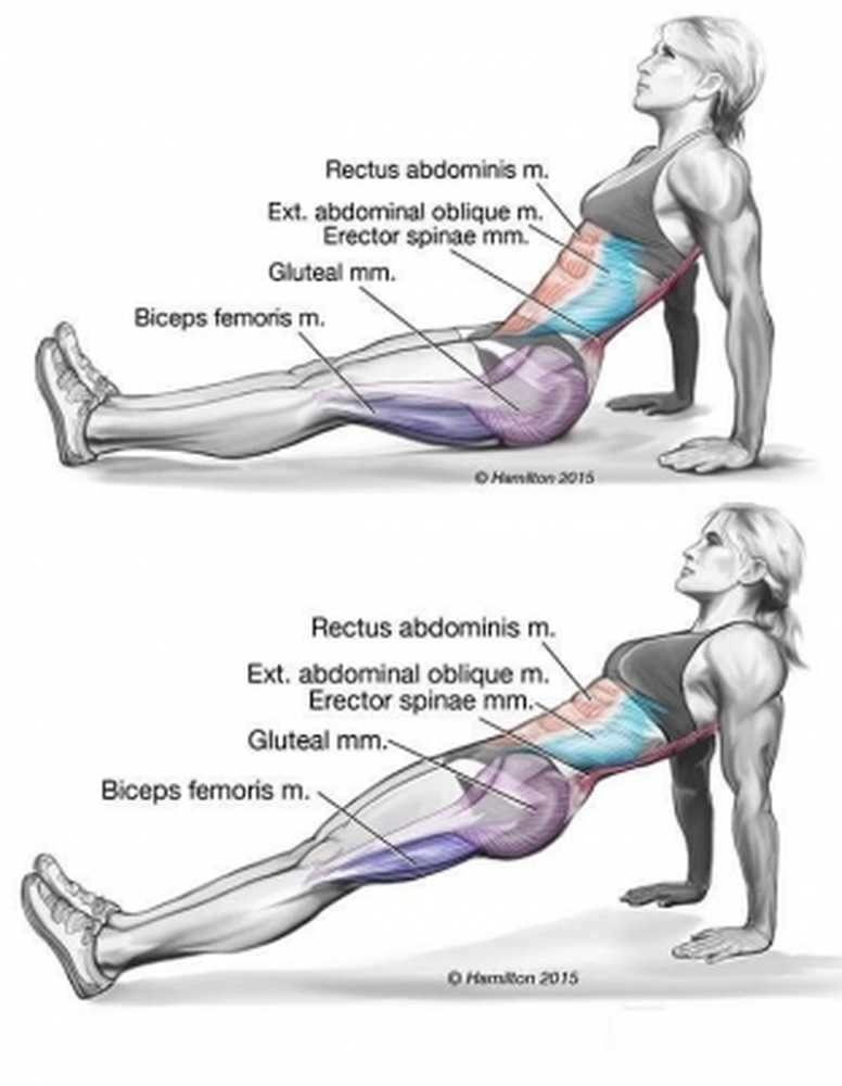 Как эффективно накачать ягодицы. Упражнения для укрепления задней мышцы бедра. Четырёхглавая мышца бедра упражнения. Упражнения на заднюю поверхность бедра. Упражнения на заднюю часть бедра.