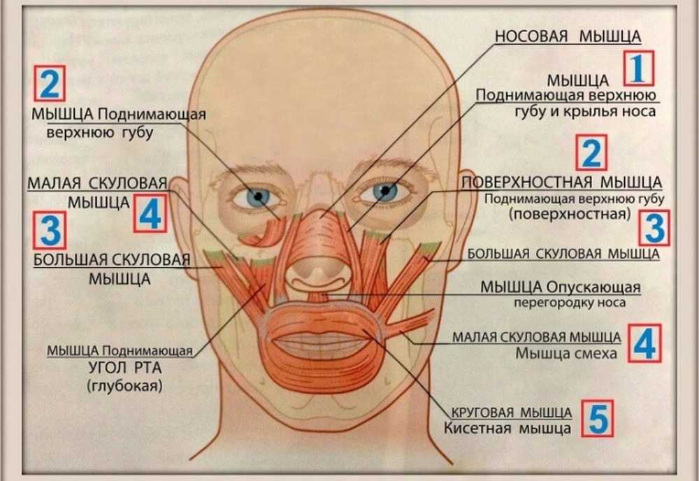 Левый угол рта