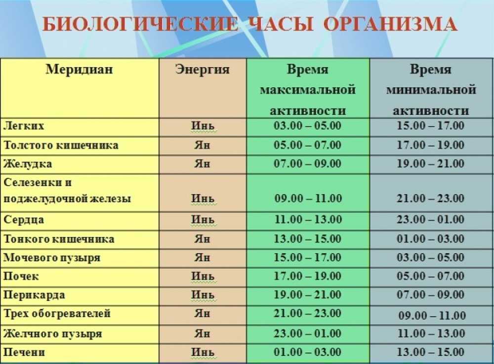 Сколько дней восстанавливается организм