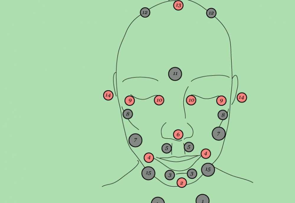 Точки хиджамы схема. Хиджама на лицо атлас точек.