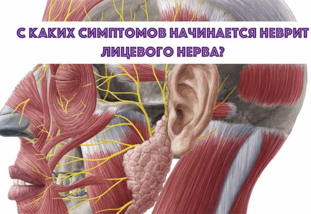 Симптомы поражения ветвей тройничного нерва. Воспаление тройничного лицевого нерва. Тройничный лицевой нерв. Блуждающий нерв. Нервы и его симптомы.