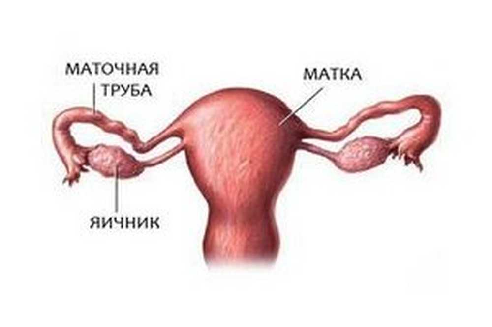 Воспаление придатков матки. Трубы у женщин. Матка и маточные трубы. Лечение серозометра матки после 60