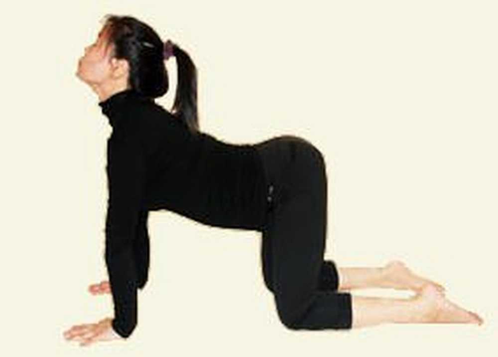 Прогибы айенгара. Ардха матсиендрасана айенгар. Асаны вытяжения. Ардха пурвоттанасана. Шалабхасана айенгара.