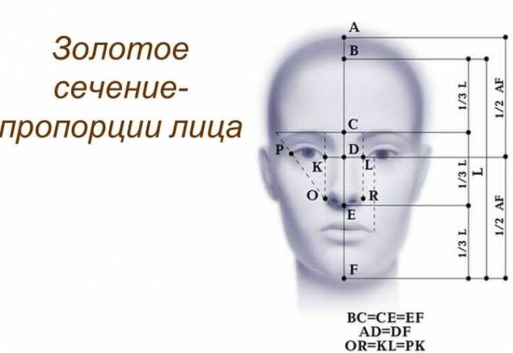 Пропорции Лица По Фото Онлайн