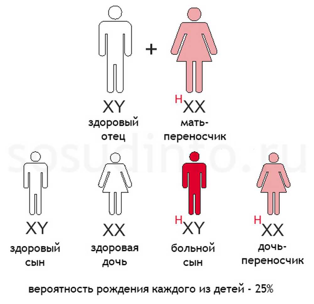 Процент генов от отца и матери. Схема наследования гемофилии. Схема передачи гемофилии. Гемофилия наследование отец болен мать носитель. Генетика схема наследования болезни.