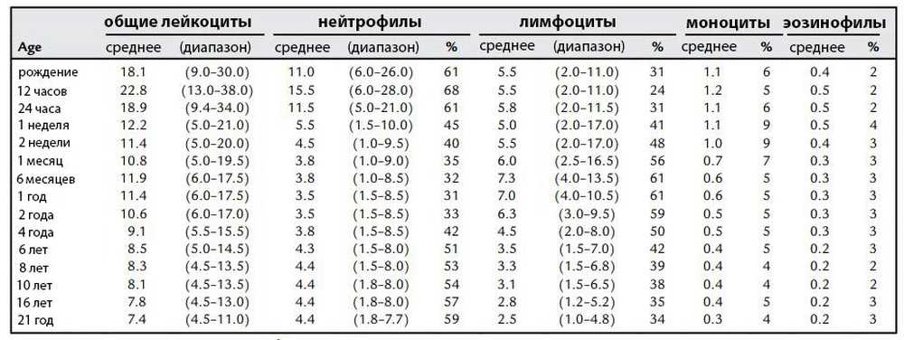 Лимфоциты моноциты норма