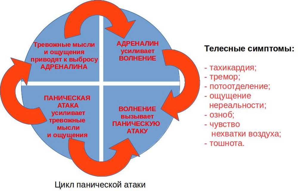 Купирование панической атаки. Механизм панической атаки. Цикл панической атаки. Паническая атака симптомы. Причины появления панических атак.