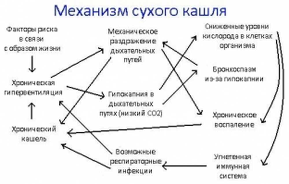 Причина сухой. Механизм сухого кашля. Механизм развития кашля. Механизм сухого кашля у детей.. Сухие каши.