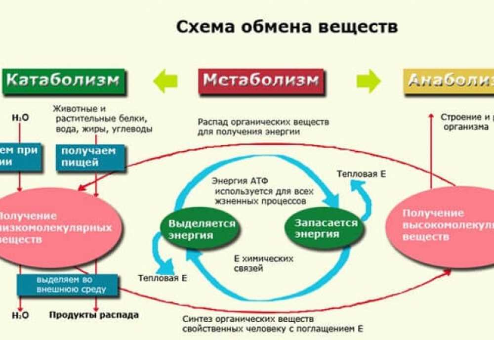 Обмен в жизни людей