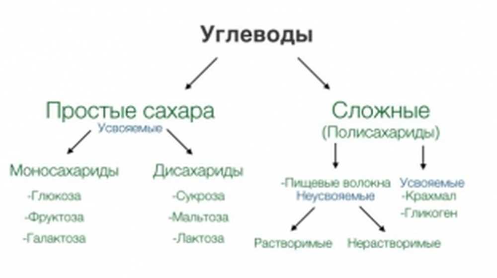 Углеводы к какой группе относится