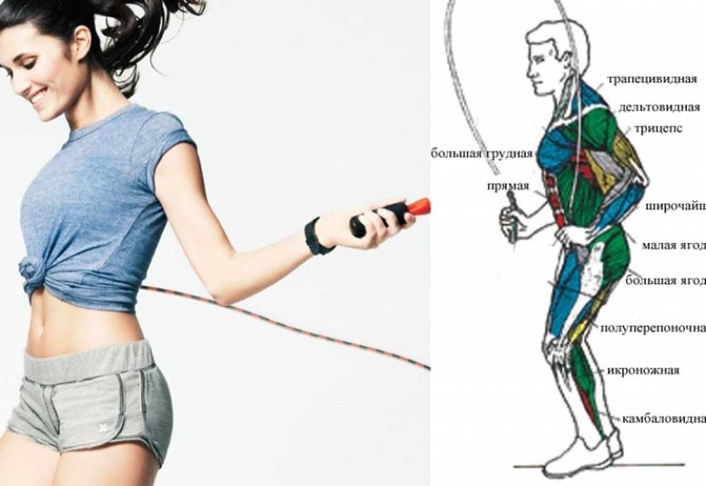 Какие мышцы задействованы при прыжках на скакалке. Работа мышц на скакалке. Какие мышцы работают при скакалке. Какие мышцы работают при скакалке. Прыжки на скакалке мышцы.