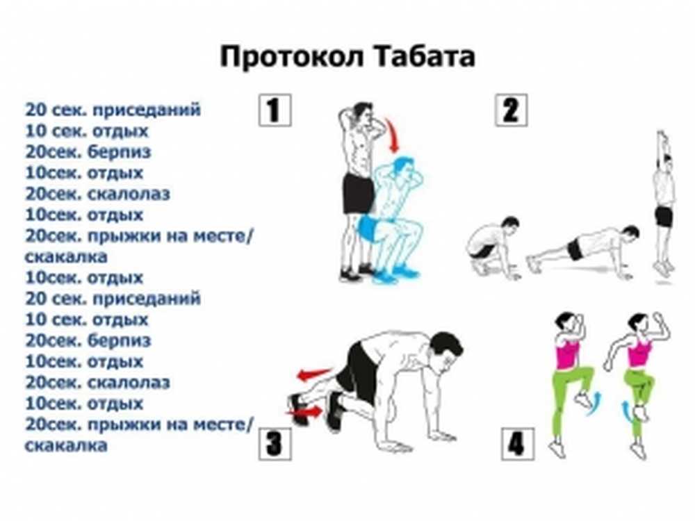 Домашняя тренировка для начинающих. Табата тренировка для начинающих. Табата комплекс упражнений. Тренировки по системе Табата для начинающих. Комплекс упражнений Табата для начинающих.