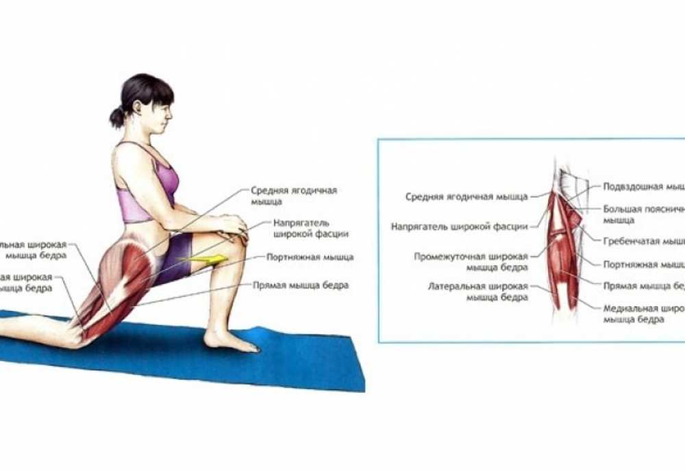 Как правильно пишется ляжка или ляшка. Упражнения для растяжки четырехглавой мышцы бедра. Растягивание подвздошно-поясничной мышцы. Растяжка подвздошно-поясничной мышцы упражнения.