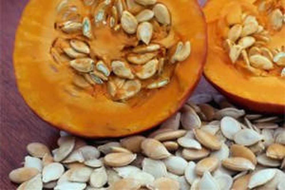 Подрастаюшее семя тыквы в земле. Тыквенные семечки микроэлементы. Семена тыквы. Семена тыквы "россмянка на ладони. Семена для посева.