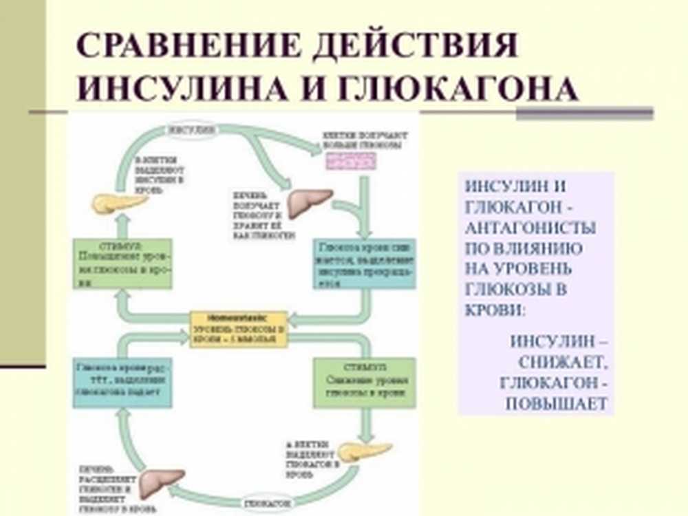 Уровни пониженный повышенный